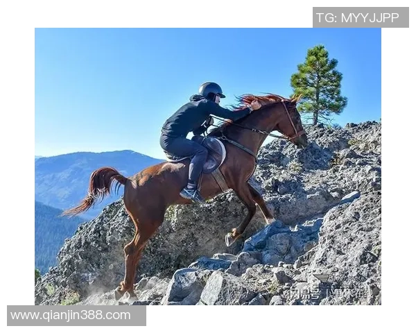 深圳极限运动队引领最新耐力挑战榜单前十名的精彩表现